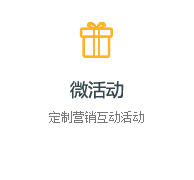 微活动